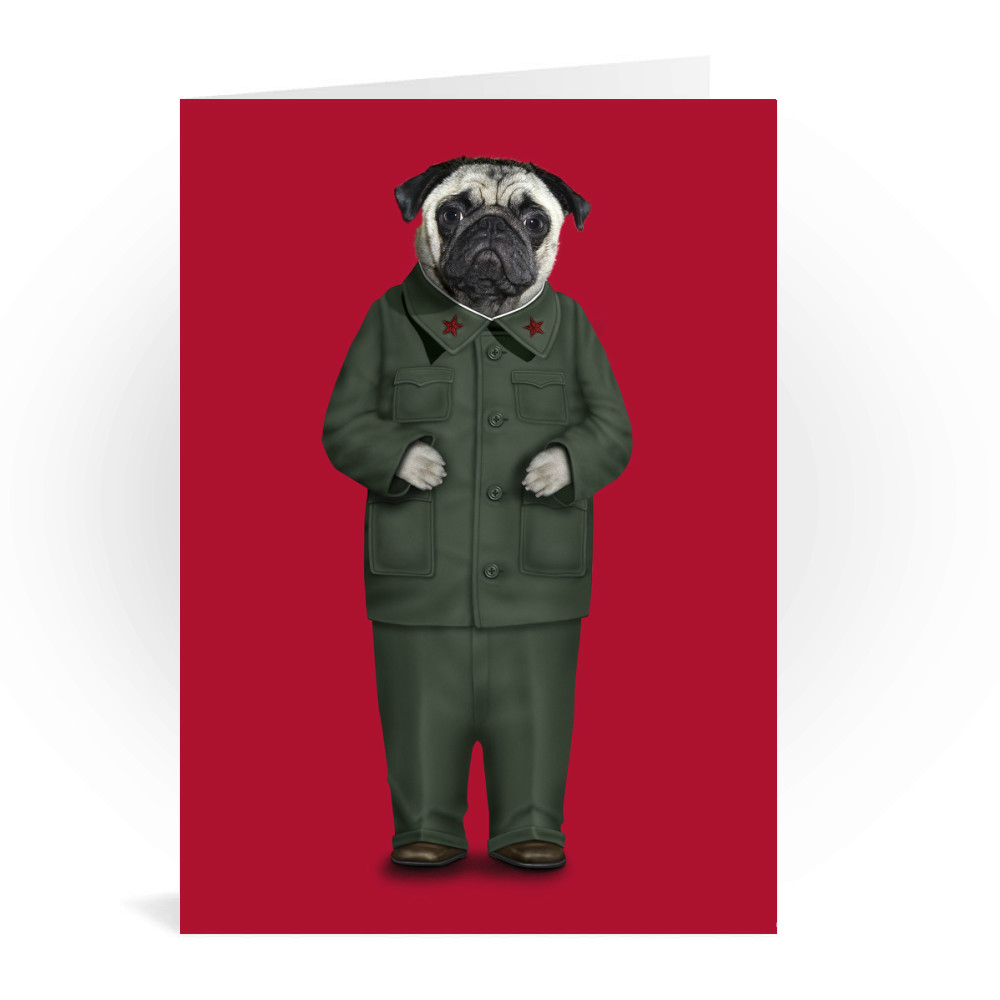 China Pets Rock Greeting Card China Pets Rock Greeting Card