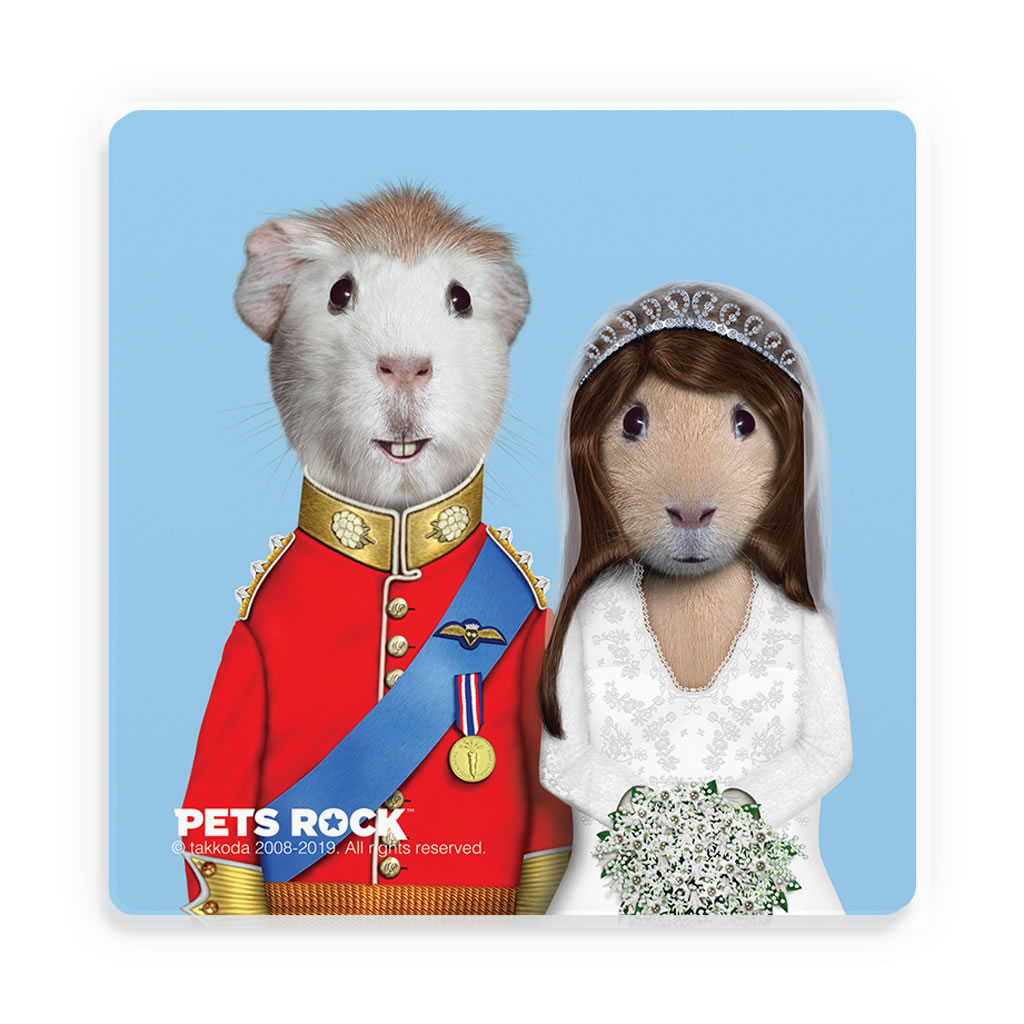 Mr & Mrs Pets Rock Ceramic Coaster Mr & Mrs Pets Rock Ceramic Coaster