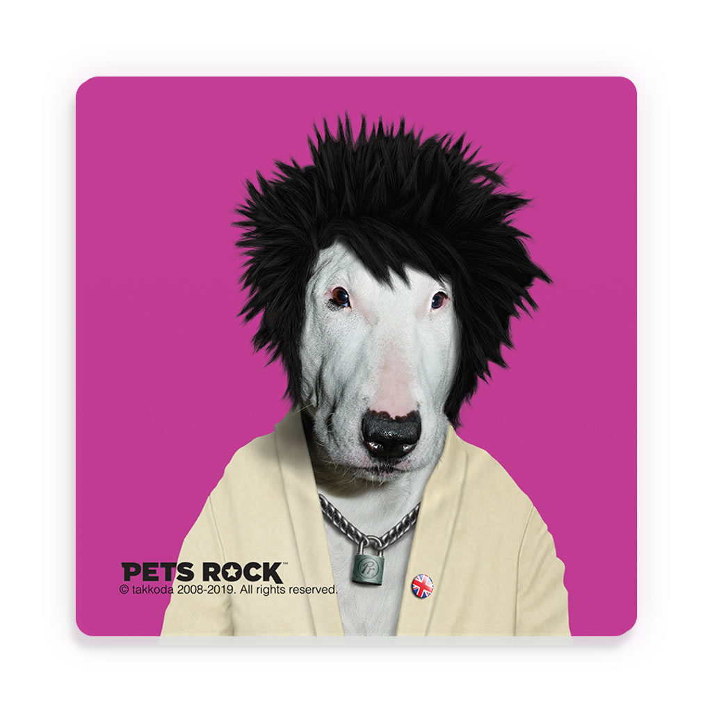 Punk Pets Rock Ceramic Coaster Punk Pets Rock Ceramic Coaster