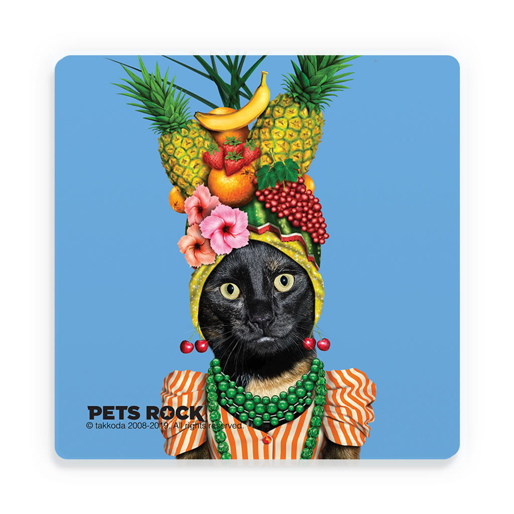 Fruit Pets Rock Ceramic Coaster Fruit Pets Rock Ceramic Coaster