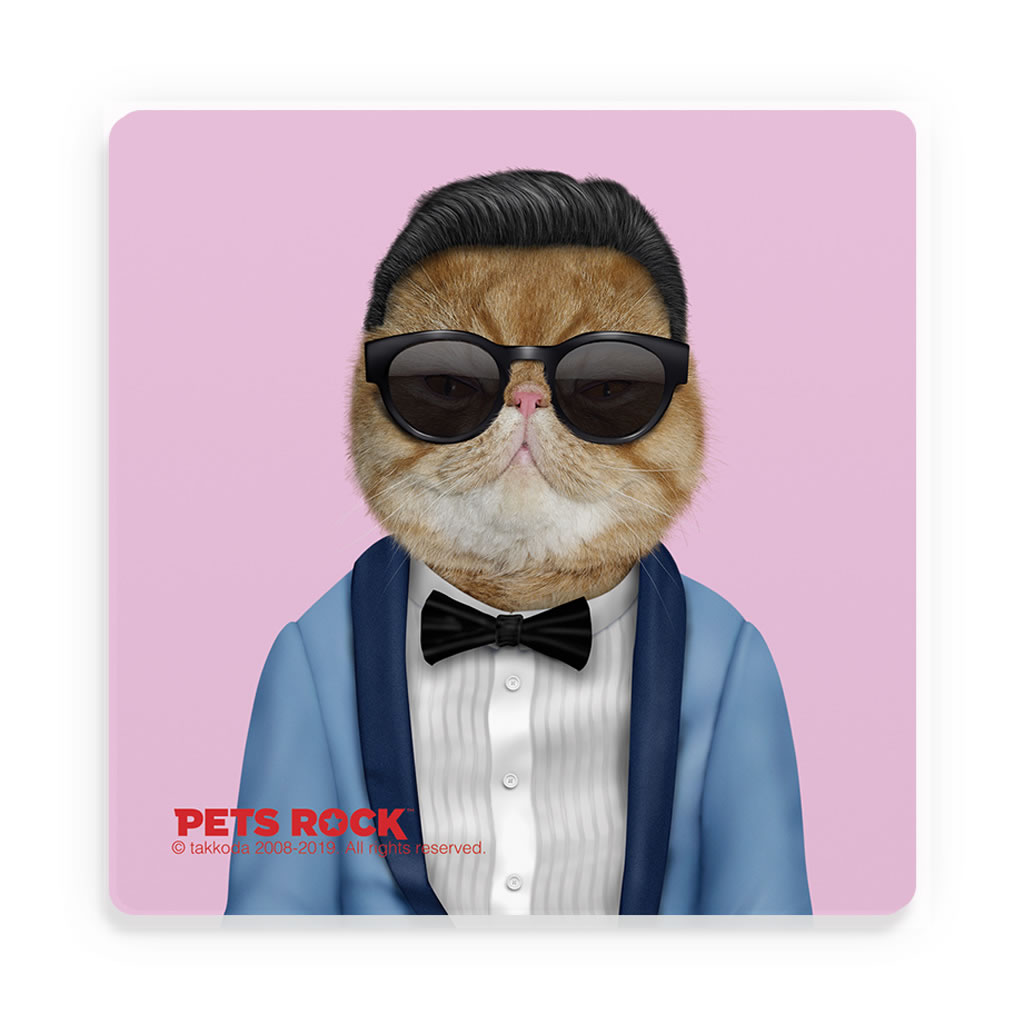 Korea Pets Rock Ceramic Coaster Korea Pets Rock Ceramic Coaster