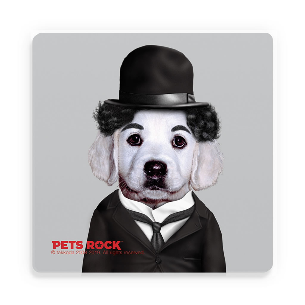 Tramp Pets Rock Ceramic Coaster Tramp Pets Rock Ceramic Coaster