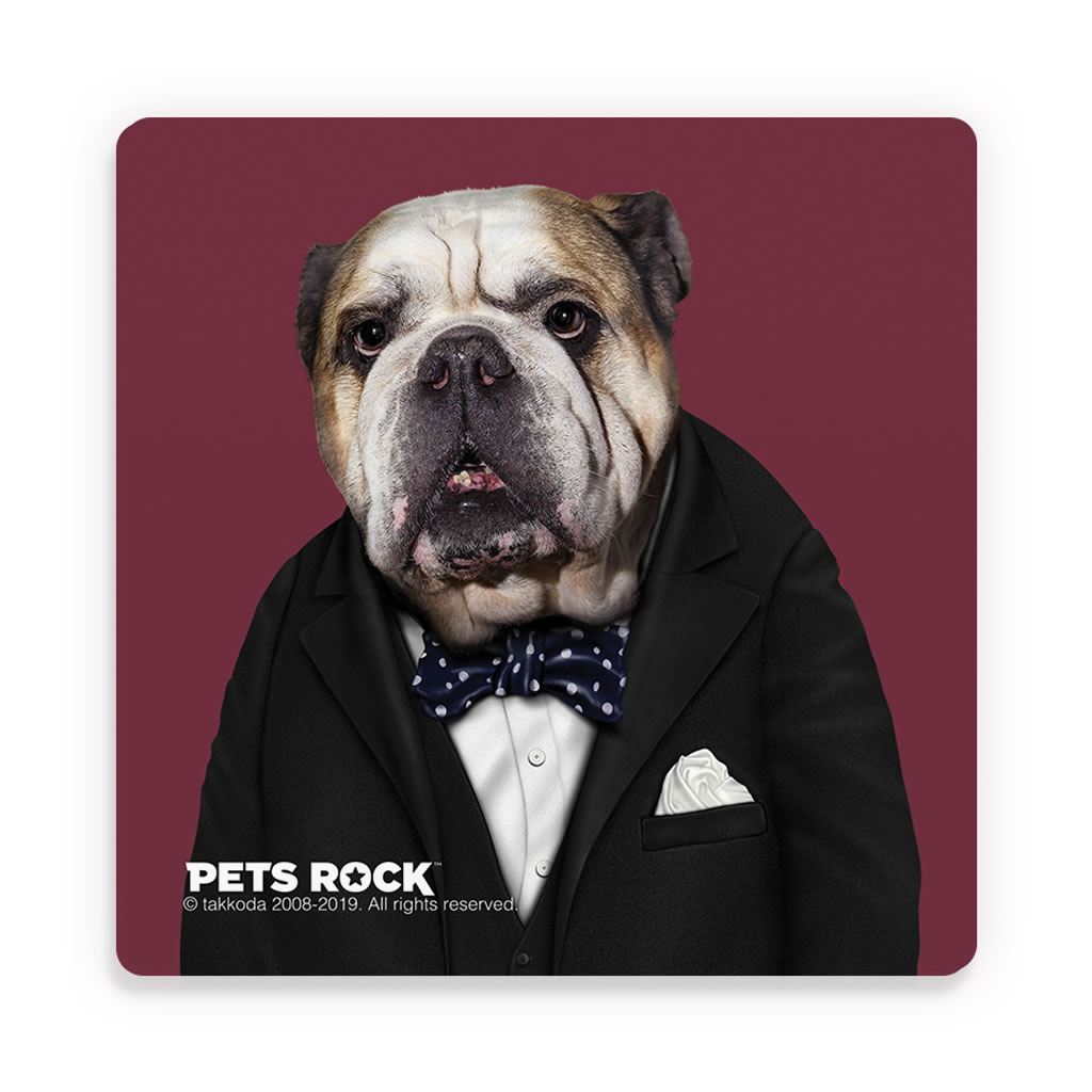 Leader Pets Rock Ceramic Coaster Leader Pets Rock Ceramic Coaster