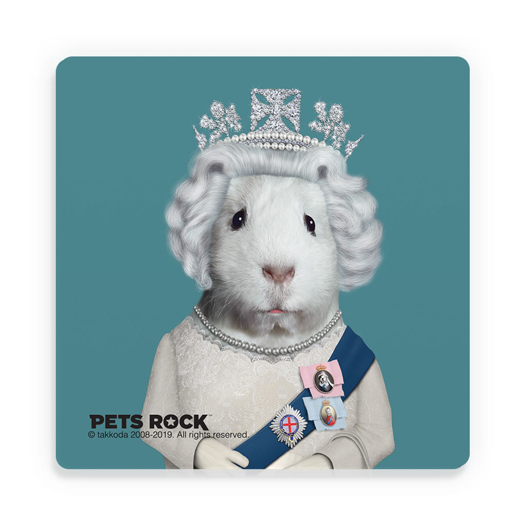 HRH Pets Rock Ceramic Coaster HRH Pets Rock Ceramic Coaster