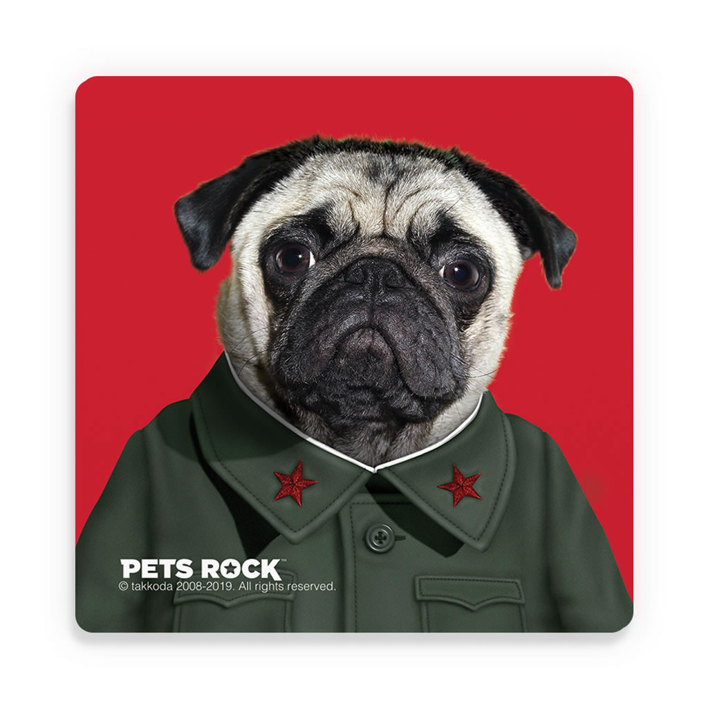 China Pets Rock Ceramic Coaster China Pets Rock Ceramic Coaster