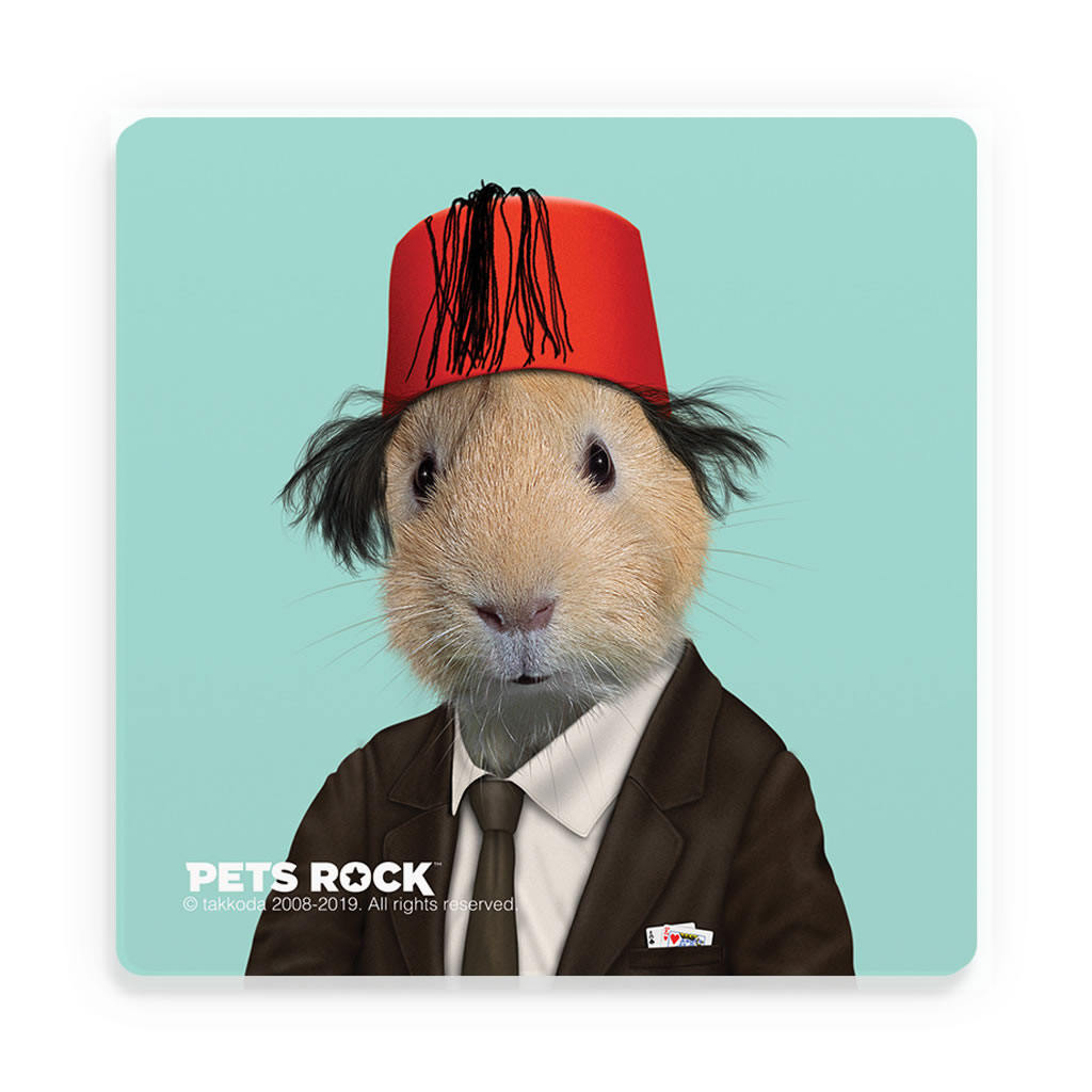 Magic Pets Rock Ceramic Coaster Magic Pets Rock Ceramic Coaster
