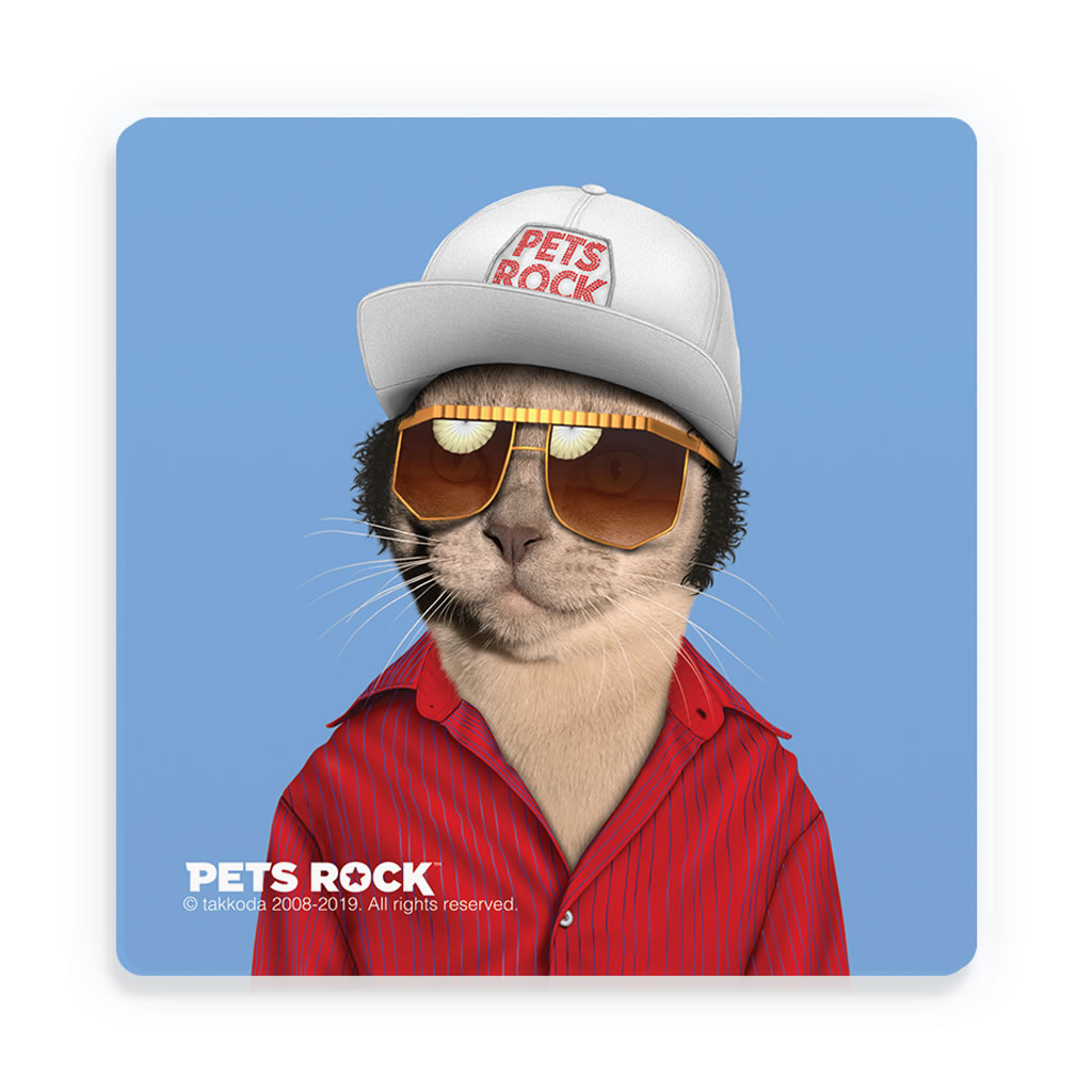 Mr Mercury Pets Rock Ceramic Coaster Mr Mercury Pets Rock Ceramic Coaster