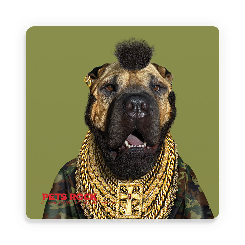Fool Pets Rock Ceramic Coaster Fool Pets Rock Ceramic Coaster