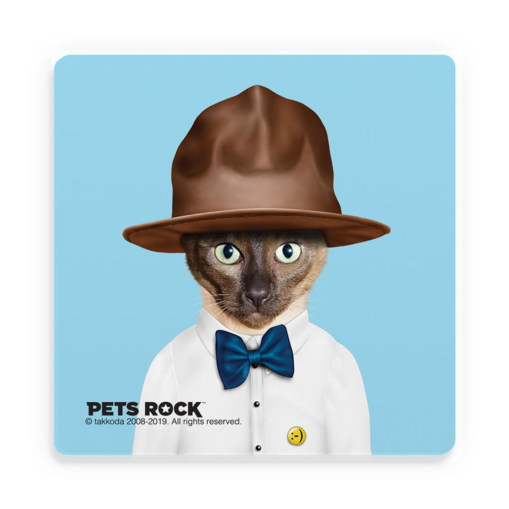 Purrell Pets Rock Ceramic Coaster Purrell Pets Rock Ceramic Coaster