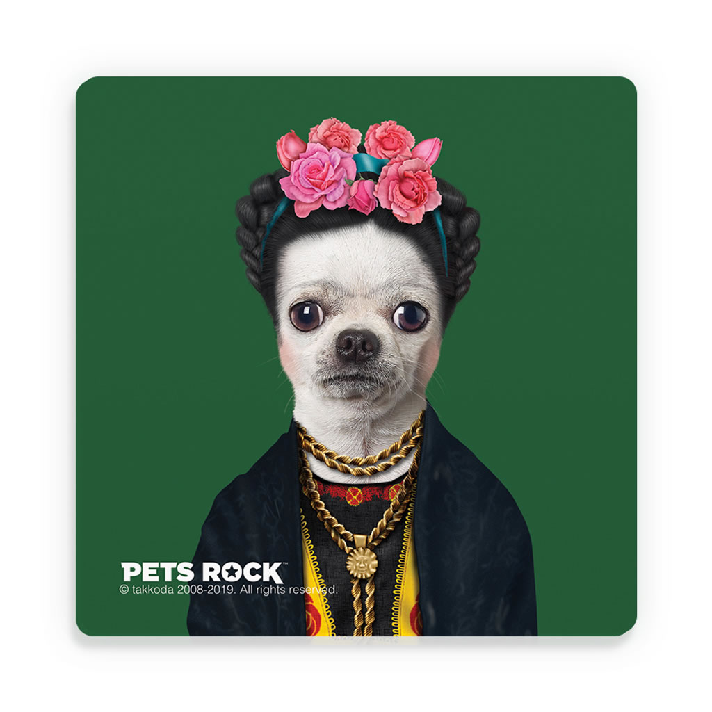 Mexico Pets Rock Ceramic Coaster Mexico Pets Rock Ceramic Coaster