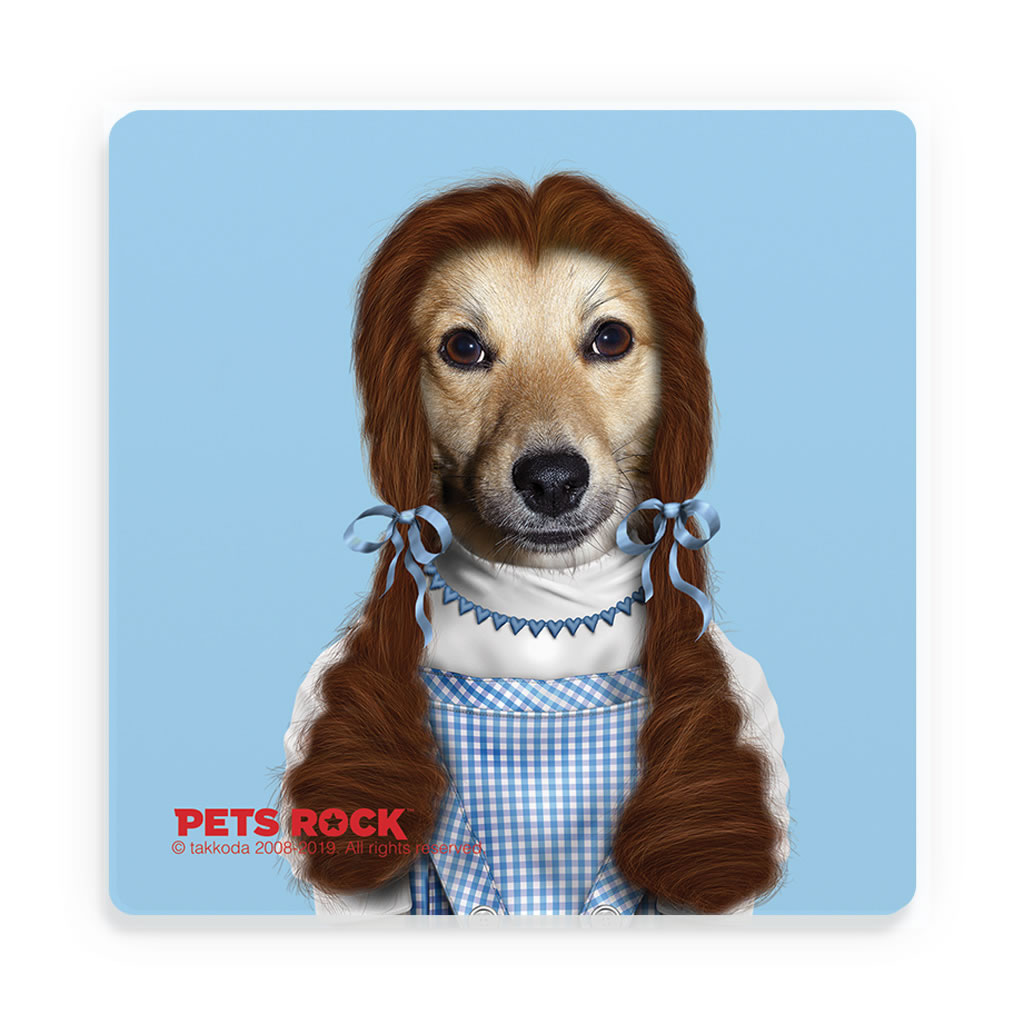 Ruby Pets Rock Ceramic Coaster Ruby Pets Rock Ceramic Coaster