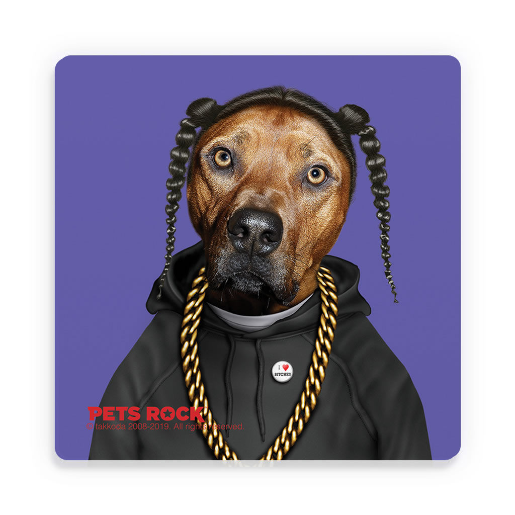 Rap Pets Rock Ceramic Coaster Rap Pets Rock Ceramic Coaster