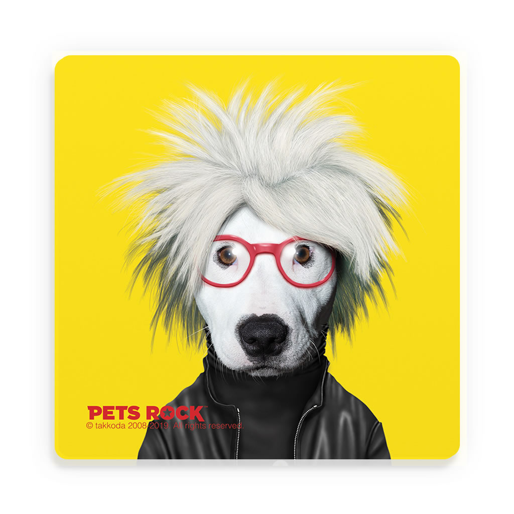 Soup Pets Rock Ceramic Coaster Soup Pets Rock Ceramic Coaster