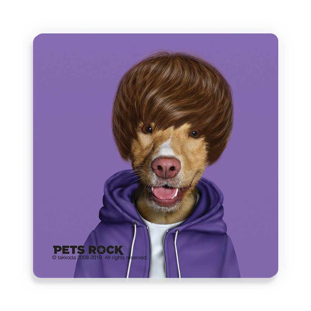 Teen Pets Rock Ceramic Coaster Teen Pets Rock Ceramic Coaster