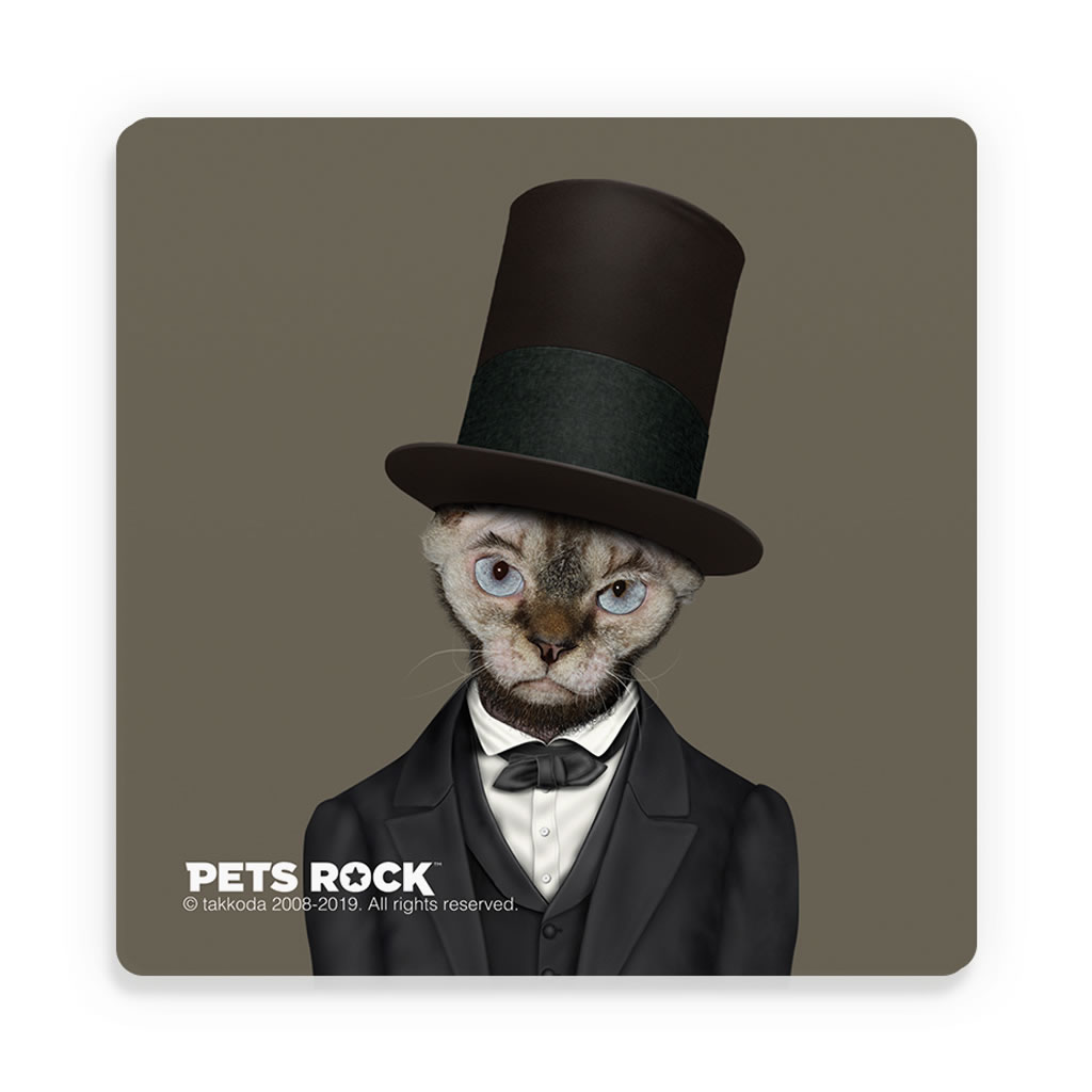 Lincoln Pets Rock Ceramic Coaster Lincoln Pets Rock Ceramic Coaster