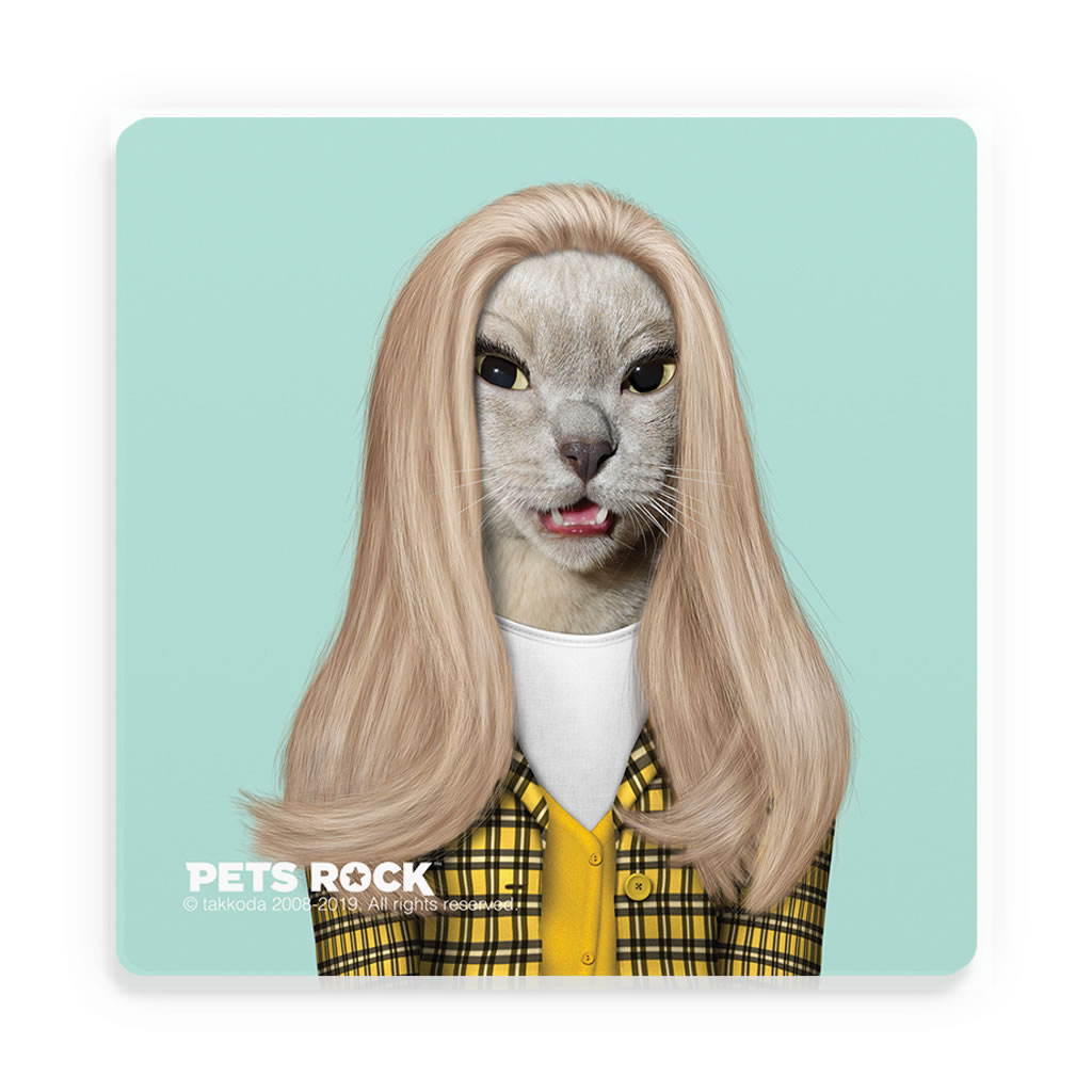 High School Pets Rock Ceramic Coaster High School Pets Rock Ceramic Coaster