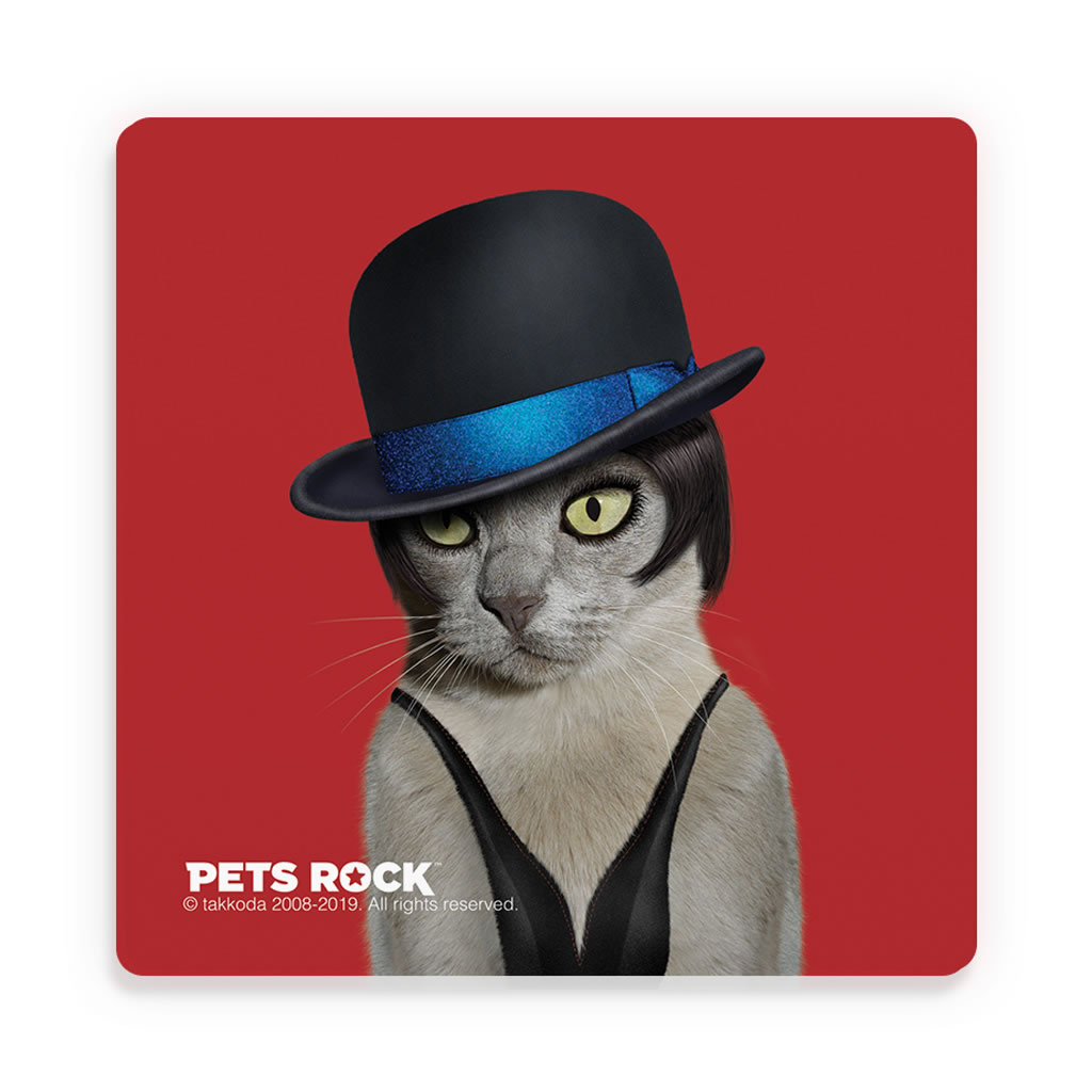 Berlin Pets Rock Ceramic Coaster Berlin Pets Rock Ceramic Coaster