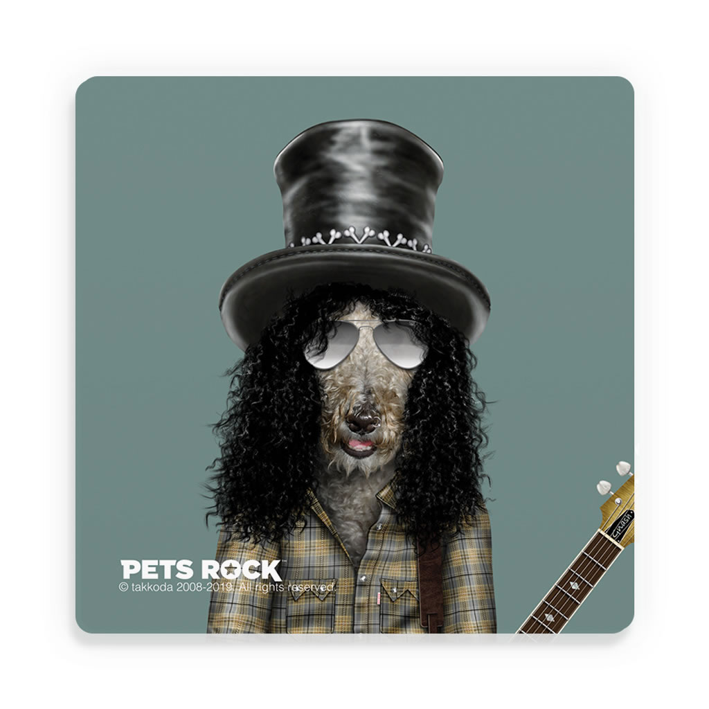 Gnash Pets Rock Ceramic Coaster Gnash Pets Rock Ceramic Coaster