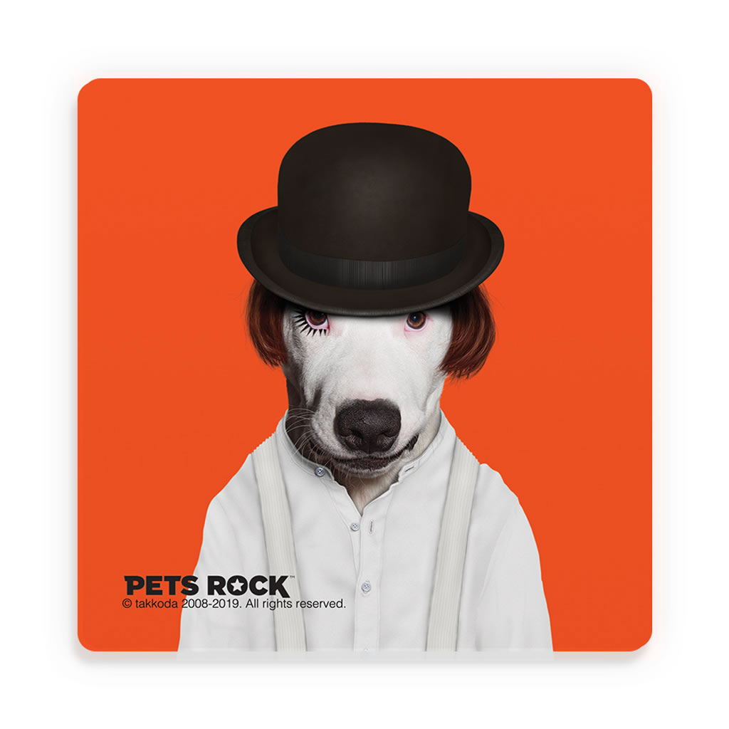 Dystopia Pets Rock Ceramic Coaster Dystopia Pets Rock Ceramic Coaster
