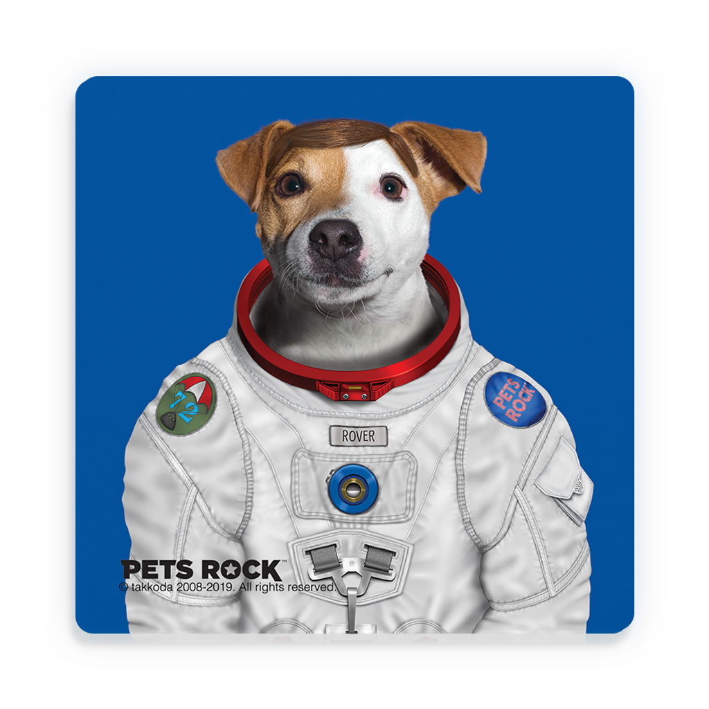 Rover Pets Rock Ceramic Coaster Rover Pets Rock Ceramic Coaster