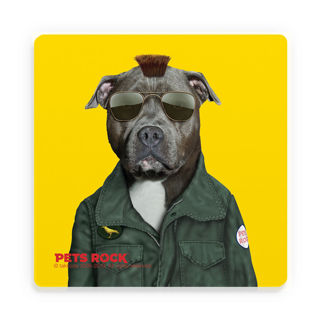 Cabbie Pets Rock Ceramic Coaster Cabbie Pets Rock Ceramic Coaster