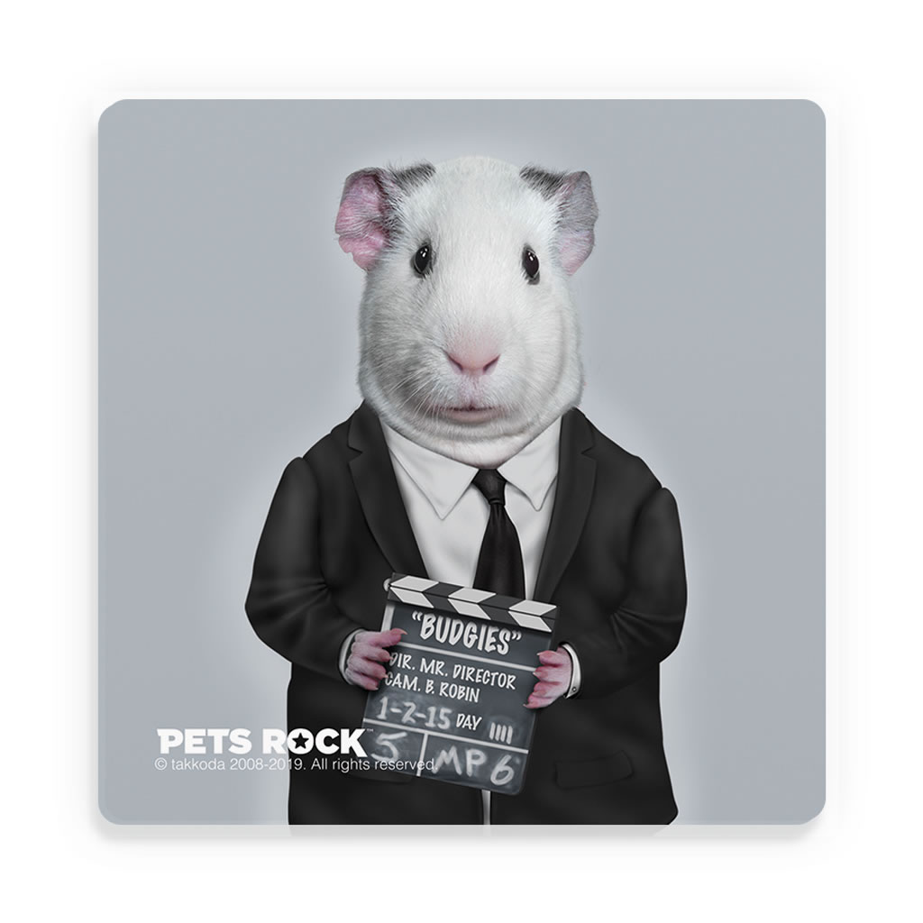 Director Pets Rock Ceramic Coaster Director Pets Rock Ceramic Coaster