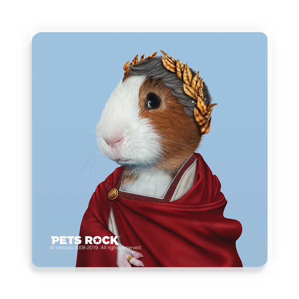 Caesar Pets Rock Ceramic Coaster Caesar Pets Rock Ceramic Coaster