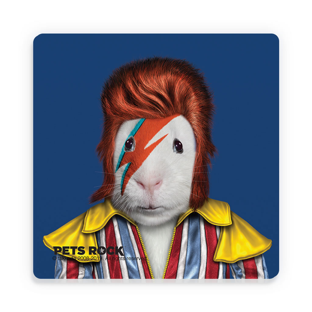 Glam Rock Pets Rock Ceramic Coaster Glam Rock Pets Rock Ceramic Coaster