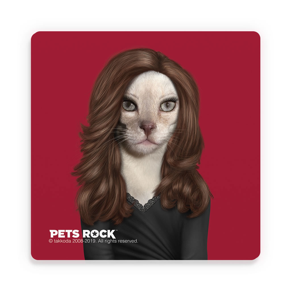 Hollywood Lady Pets Rock Ceramic Coaster Hollywood Lady Pets Rock Ceramic Coaster