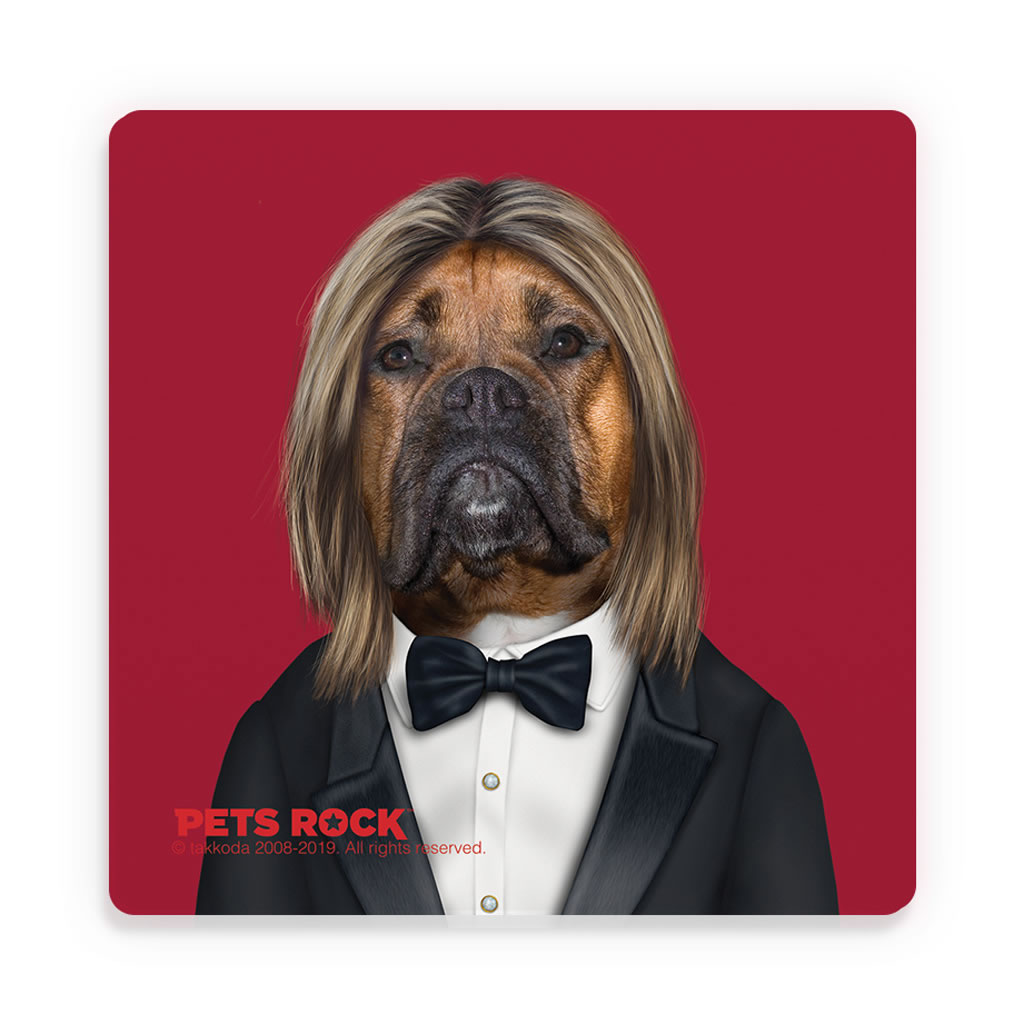Hollywood Man Pets Rock Ceramic Coaster Hollywood Man Pets Rock Ceramic Coaster