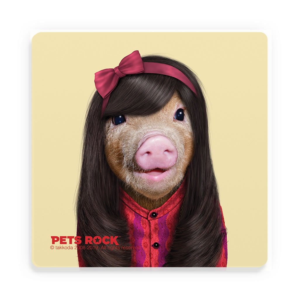 Patsy Pets Rock Ceramic Coaster Patsy Pets Rock Ceramic Coaster