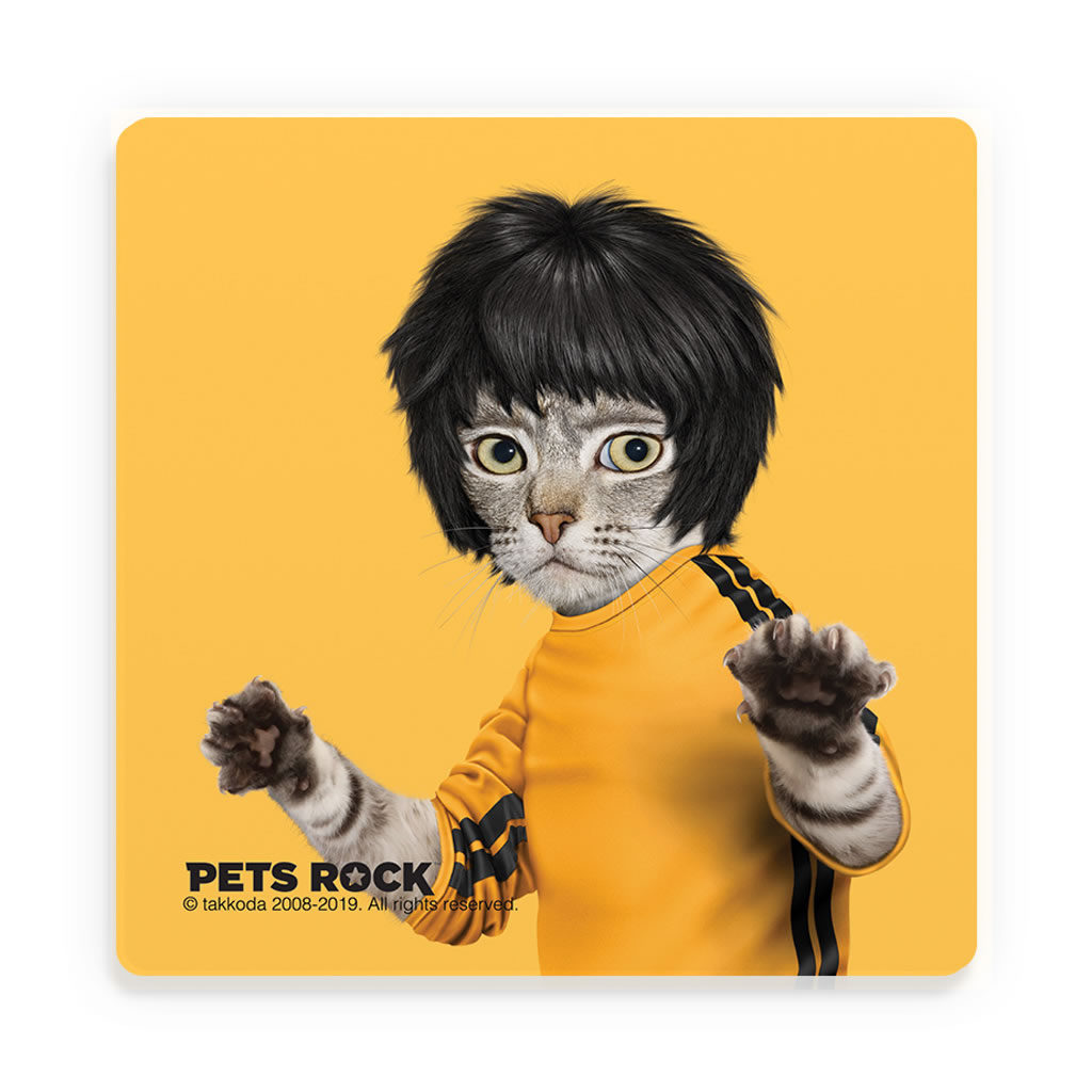 Kung Fu Pets Rock Ceramic Coaster Kung Fu Pets Rock Ceramic Coaster
