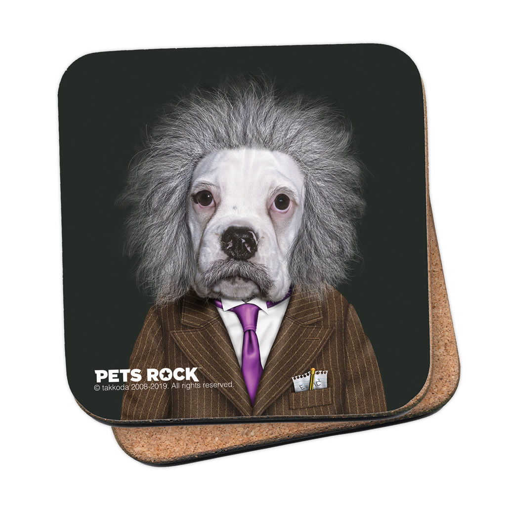 Brain Pets Rock Coaster Brain Pets Rock Coaster