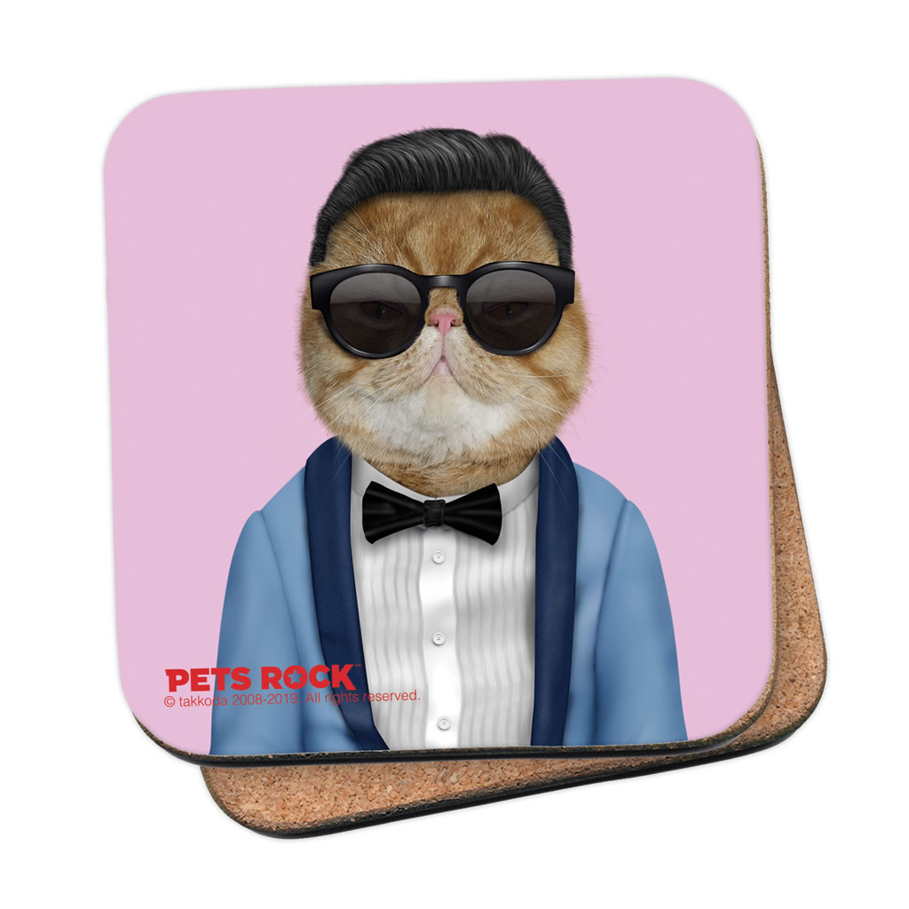Korea Pets Rock Coaster Korea Pets Rock Coaster