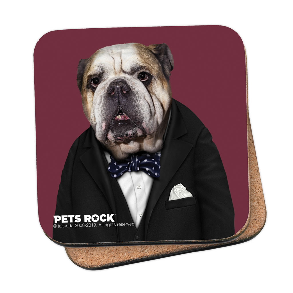 Leader Pets Rock Coaster Leader Pets Rock Coaster