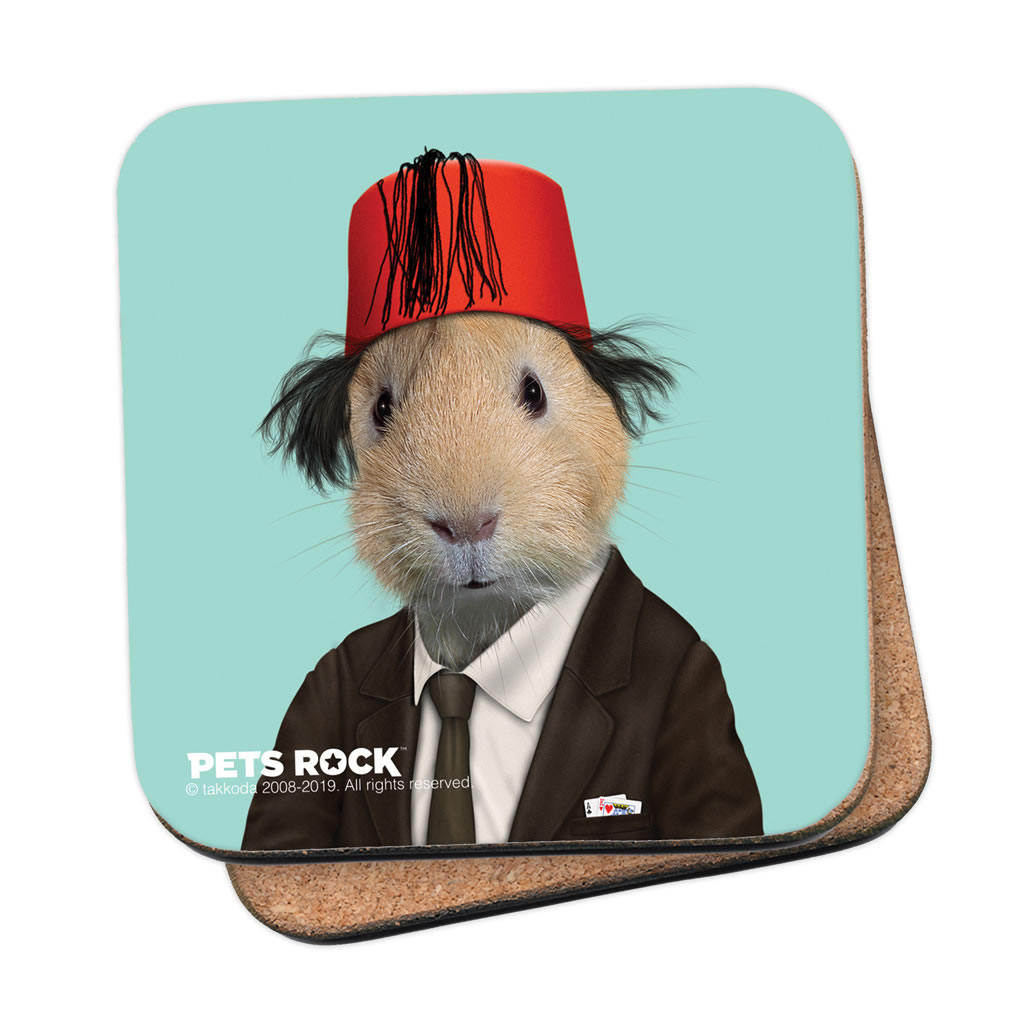 Magic Pets Rock Coaster Magic Pets Rock Coaster