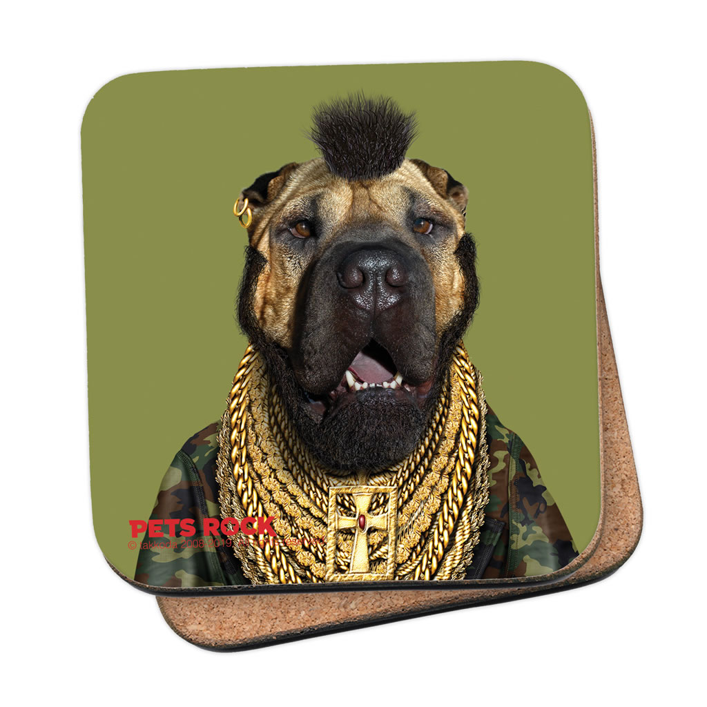 Fool Pets Rock Coaster Fool Pets Rock Coaster