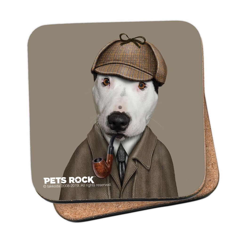 Detective Pets Rock Coaster Detective Pets Rock Coaster