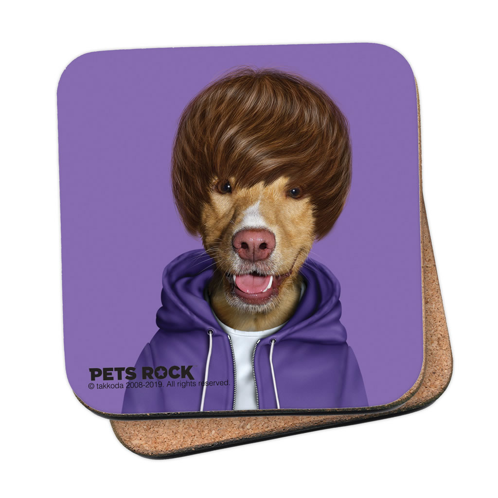 Teen Pets Rock Coaster Teen Pets Rock Coaster