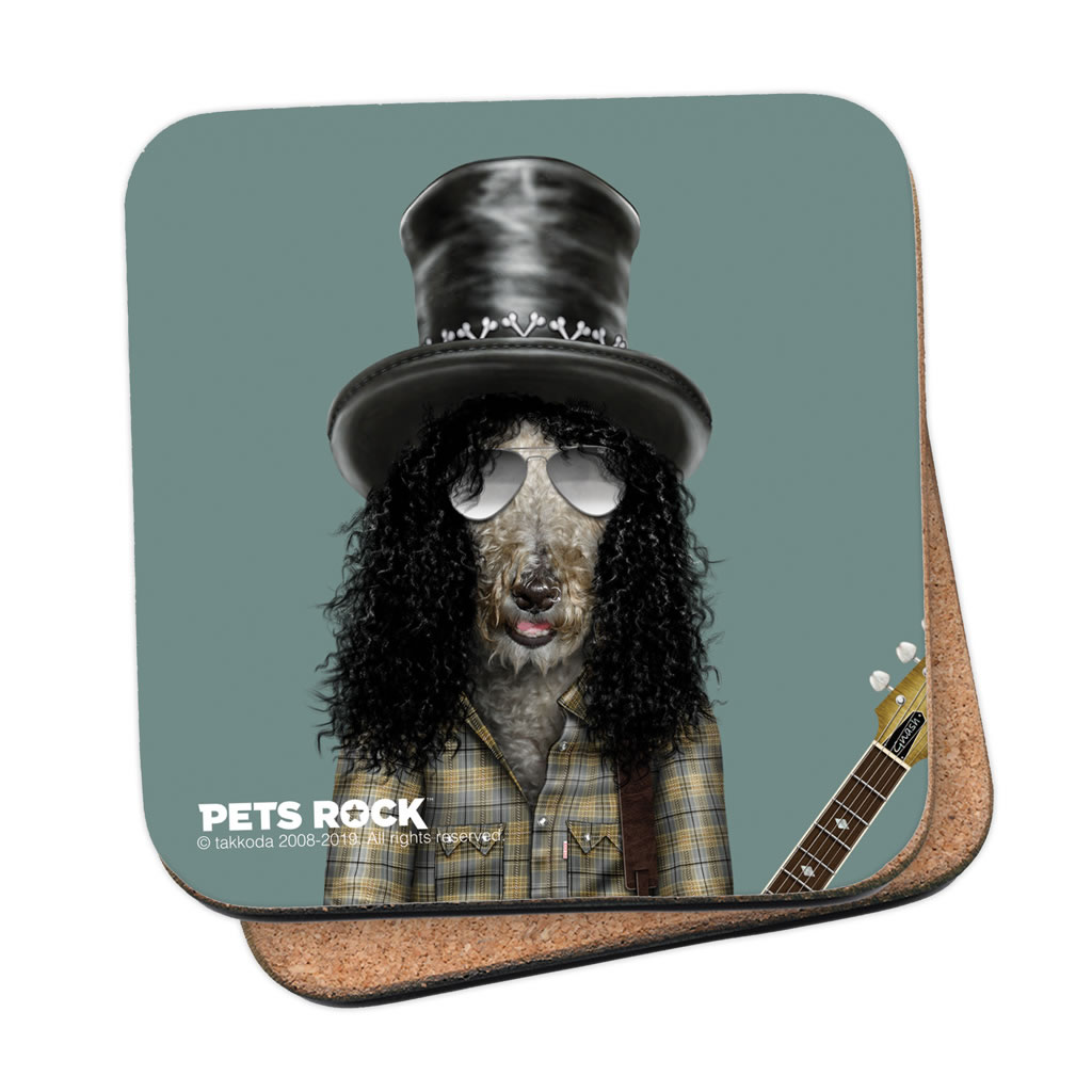 Gnash Pets Rock Coaster Gnash Pets Rock Coaster