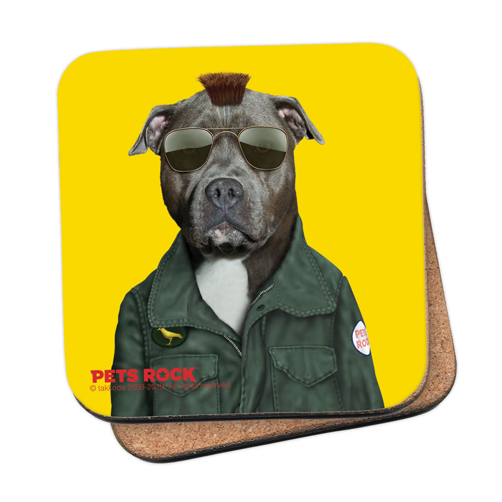 Cabbie Pets Rock Coaster Cabbie Pets Rock Coaster
