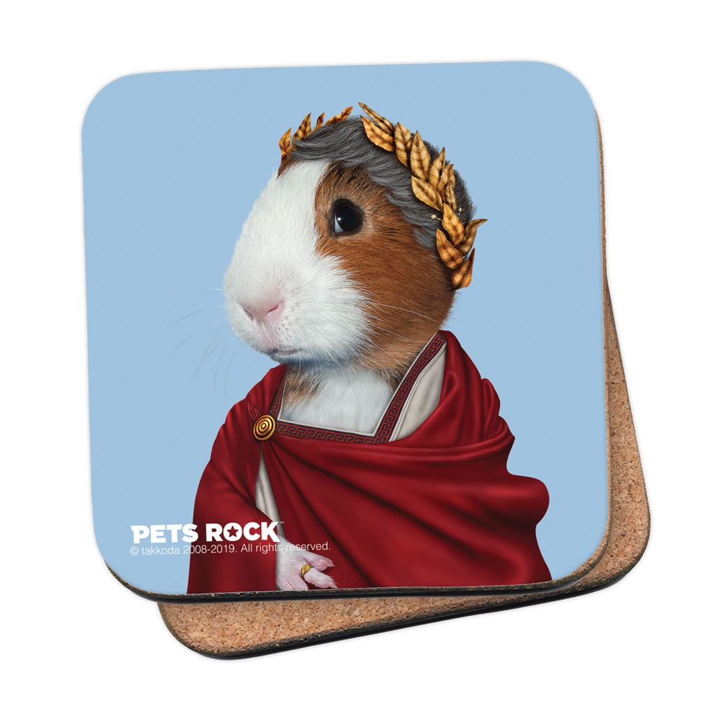 Caesar Pets Rock Coaster Caesar Pets Rock Coaster