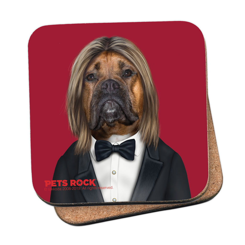Hollywood Man Pets Rock Coaster Hollywood Man Pets Rock Coaster