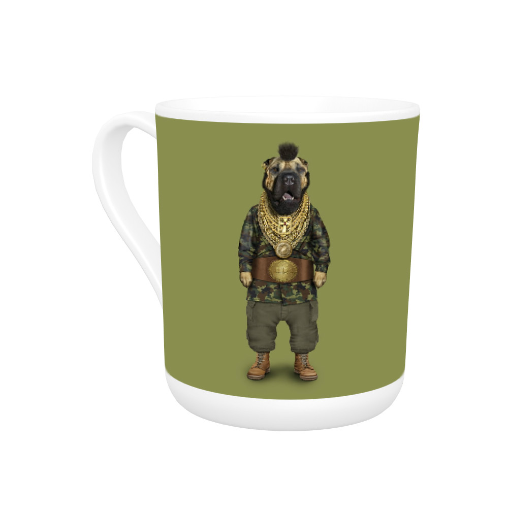 Fool Pets Rock Bone China Mug Fool Pets Rock Bone China Mug