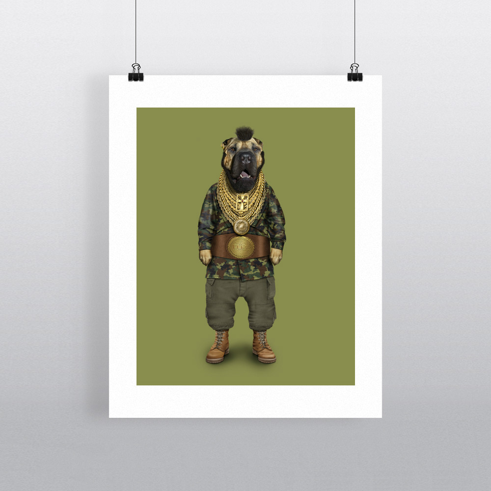 Fool Pets Rock 11' by 14' Art Print Fool Pets Rock 11' by 14' Art Print