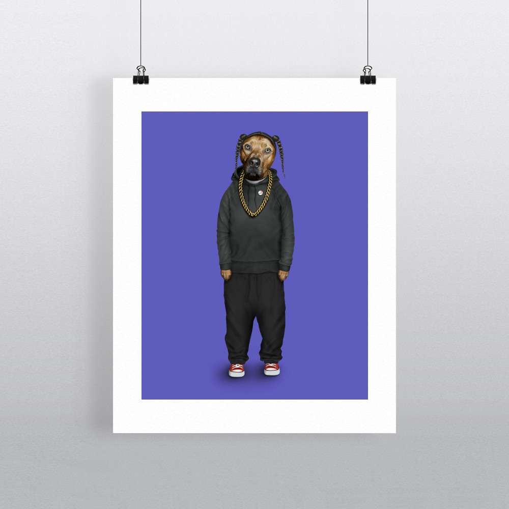 Rap Pets Rock 11' by 14' Art Print Rap Pets Rock 11' by 14' Art Print