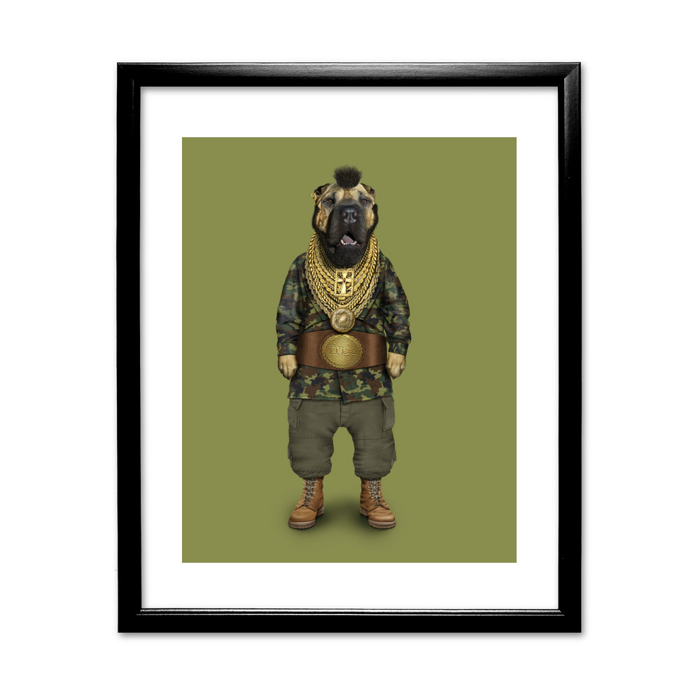 Fool Pets Rock 11' by 14' Black Framed Art Print Fool Pets Rock 11' by 14' Black Framed Art Print
