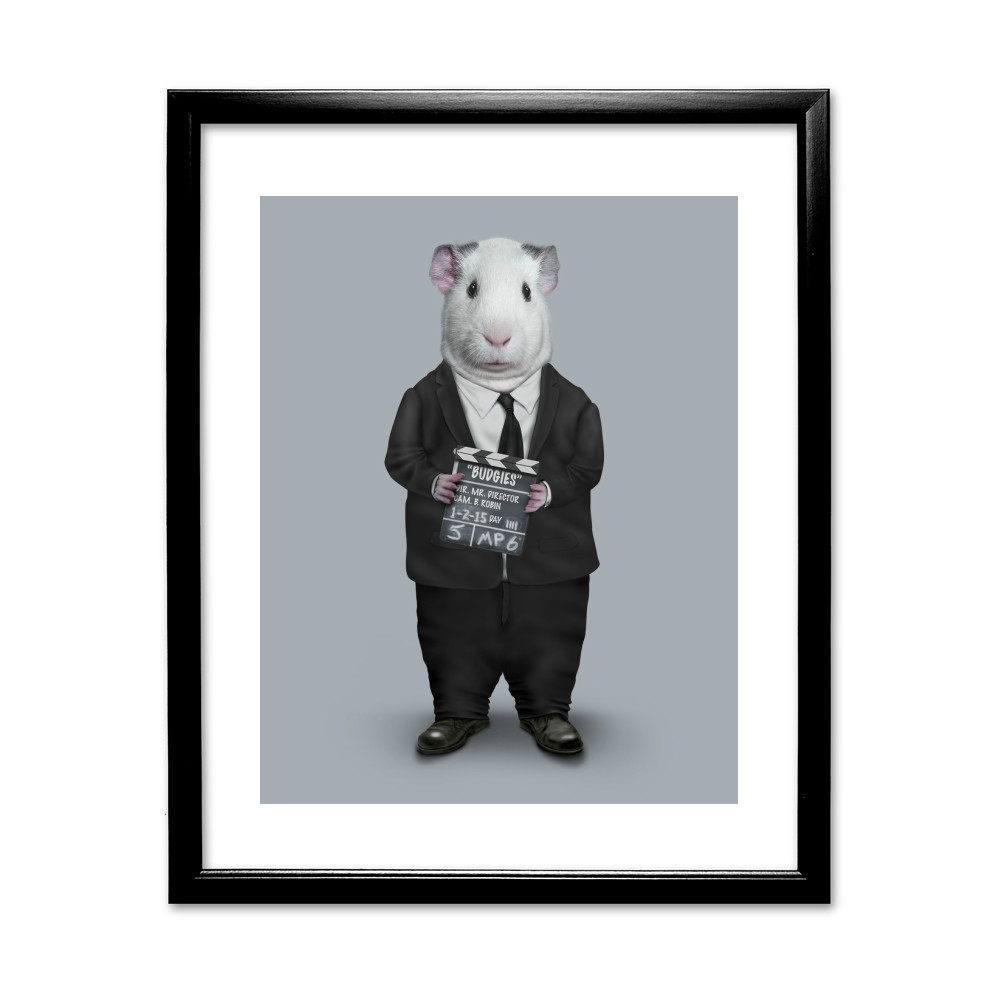 Director Pets Rock 11 Director Pets Rock 11