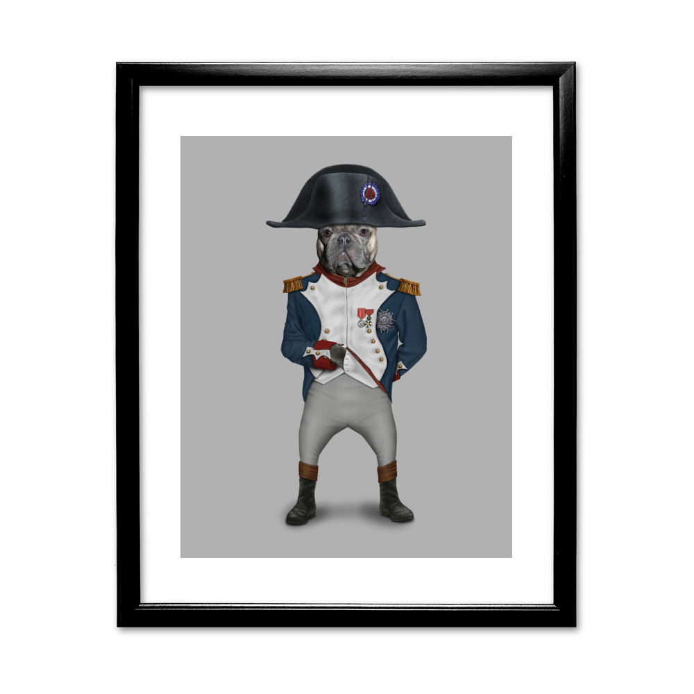 Napoleon Pets Rock 11 Napoleon Pets Rock 11