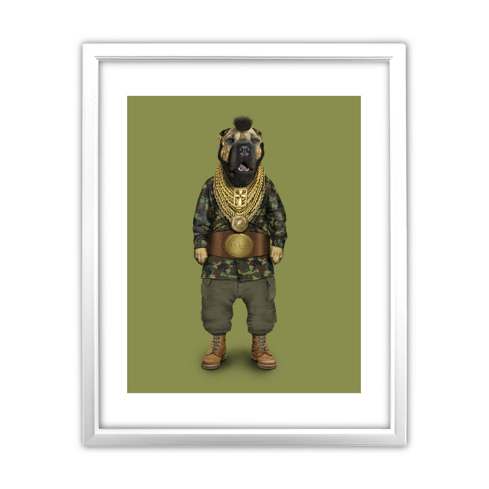 Fool Pets Rock 11' by 14' White Framed Art Print Fool Pets Rock 11' by 14' White Framed Art Print